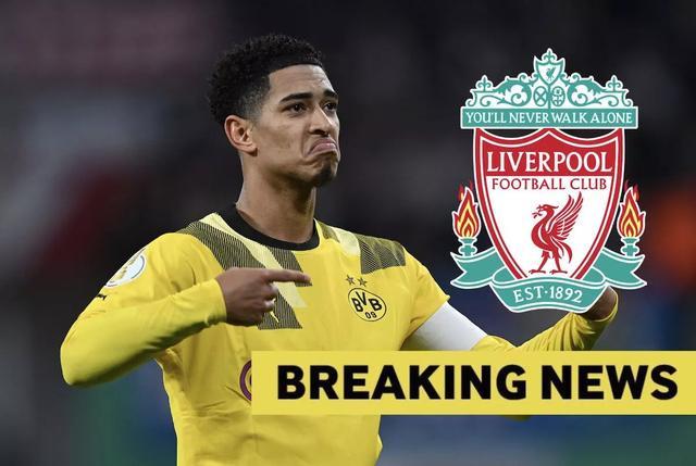 内蒙古自治区赤峰市冬季旅游季在美林谷滑雪场启动（美林谷滑雪场拉开内蒙古赤峰冬季旅游季序幕）